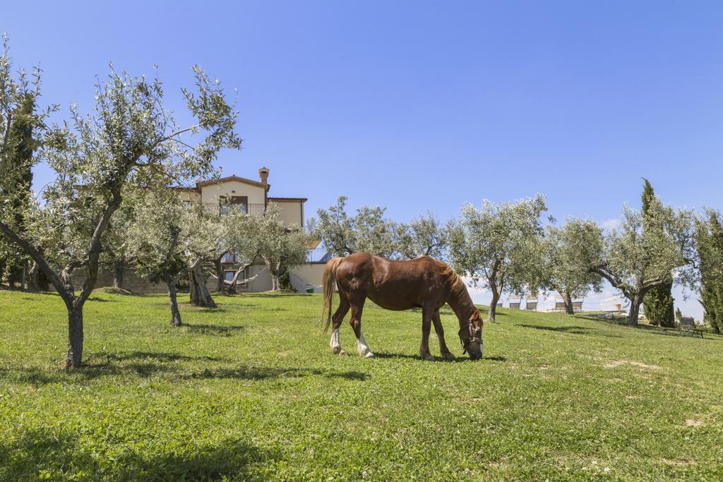 Agriturismo Le Bosche San Marino Buitenkant foto