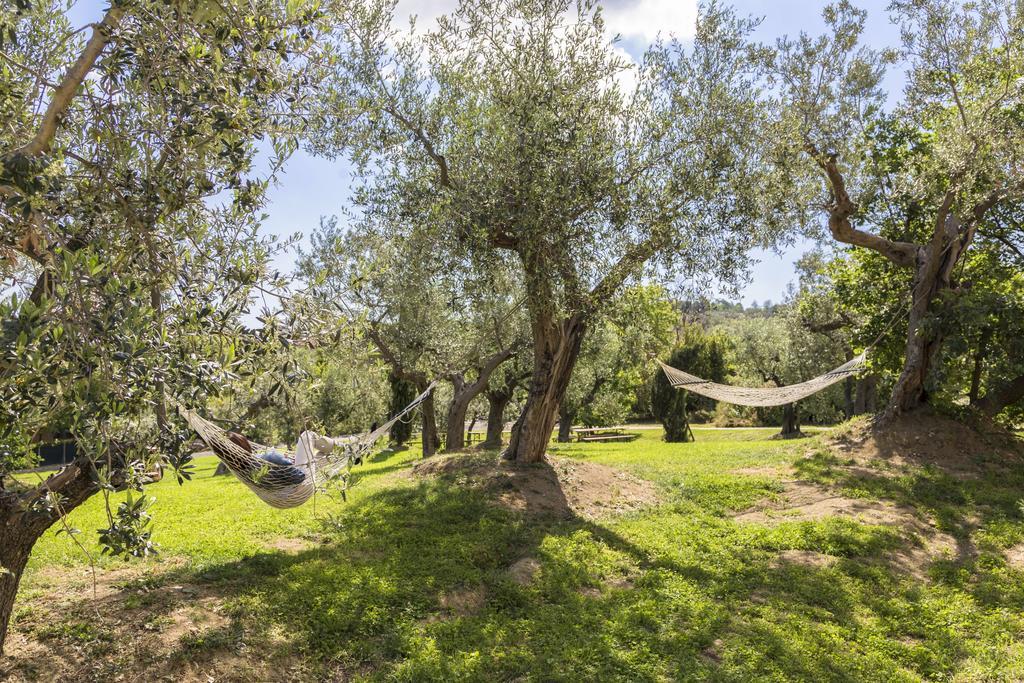 Agriturismo Le Bosche San Marino Buitenkant foto