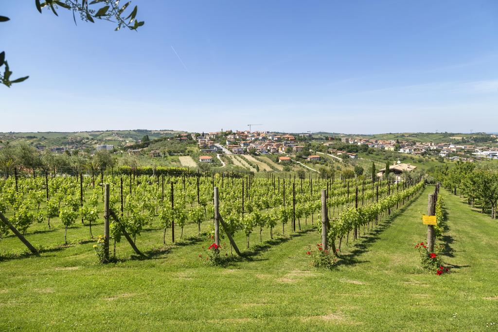 Agriturismo Le Bosche San Marino Buitenkant foto