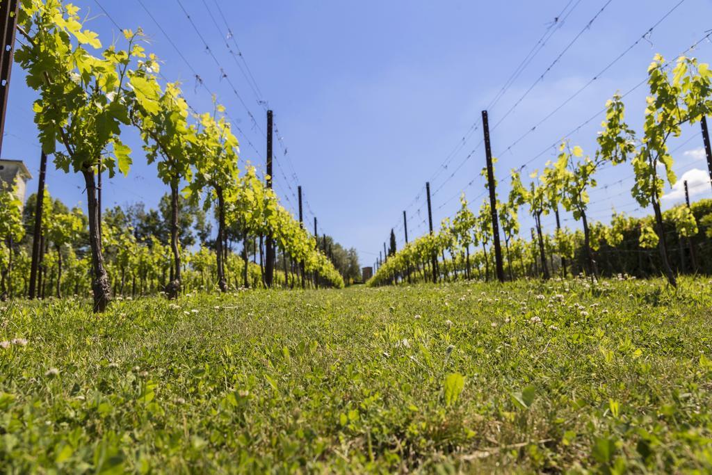 Agriturismo Le Bosche San Marino Buitenkant foto